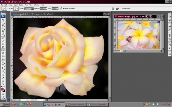 Creation of Hawiian Rose: Step 5